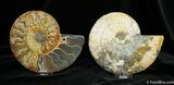 Large Inch Split Ammonite Pair From Madagascar #775-1